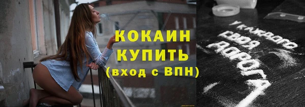 дживик Алзамай