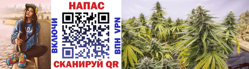Канабис Bruce Banner darknet формула Аша как найти закладки